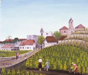 Vendemmia a Dürnstein