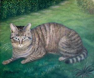 Il gatto Julia
