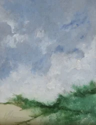 Cespugli sulla spiaggia