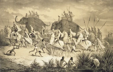 Cavalcata di capi Sikh su elefanti, da 
