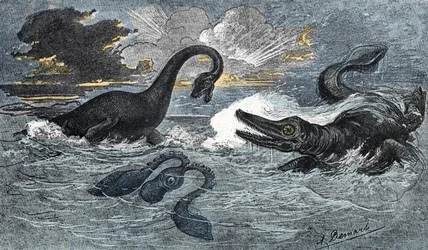 Plesiosauro e un ittiosauro del Giurassico inferiore