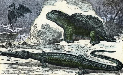 Preistoria: raffigurazione di un teleosauro (muso allungato) e di un ileosauro del periodo giurassico (Preistoria, Giurassico: Teleosaurus e Hylaeosaurus). Incisione da «Natura e uomo» di Rengade, 1881. Collezione privata