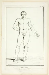 Disegno: Proporzioni generali dell