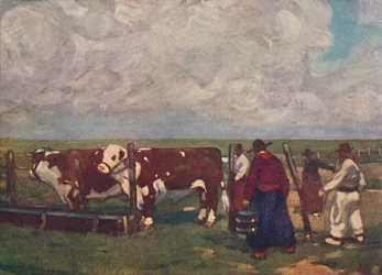 Buoi di razza in una estancia di Lemco, 1916