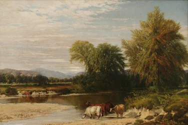 Il guado
