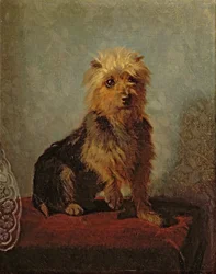 Il Cane di Chadwick, 1874
