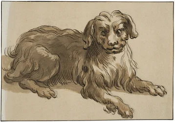 Cane dal pelo lungo