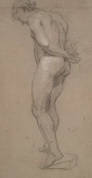 Nudo Maschile in Piedi