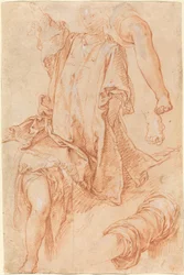 Studi di gambe e drappeggi [recto]