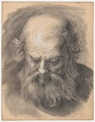 Studio della testa di un uomo barbuto
