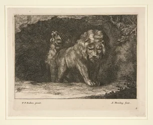 Leoni