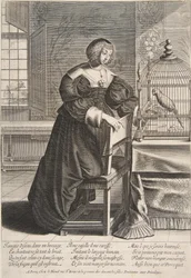Il pappagallo, 1620-76