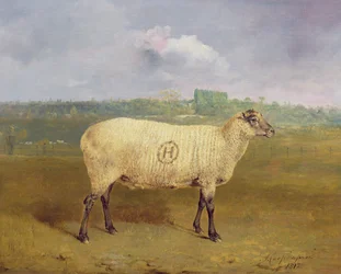 Una pecora premiata con monogramma “H”, appartenente al signor J. A. Houblon, Hallingbury Place, Essex, 1812