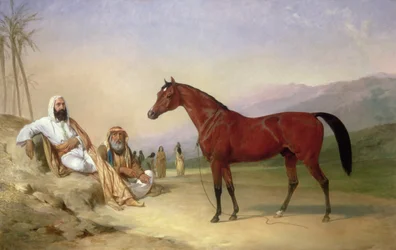 Due beduini con uno stallone arabo baio nel deserto