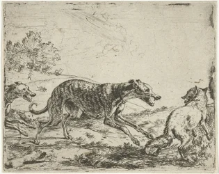 Volpe e tre cani