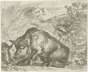 Cinghiale (serie)