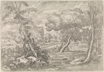 Paesaggio boscoso