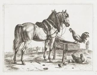 Cavallo vicino a una mangiatoia
