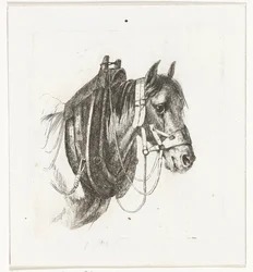 Testa di cavallo con briglie, collare e sella