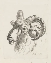 Testa di ariete a sinistra