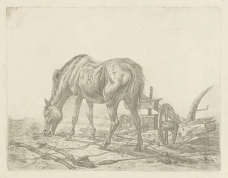 Cavallo slegato vicino a un aratro