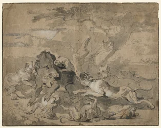 Caccia al Cinghiale