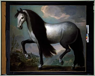 Cavallo in un paesaggio
