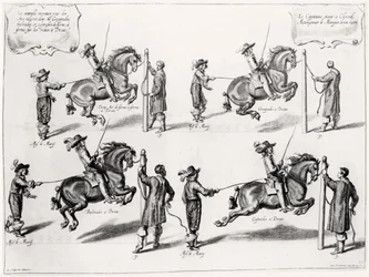 Illustrazione da un manuale di equitazione, inciso da Peeter Clouwet (1629-70), 1658