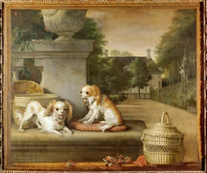 Due cani in un parco, cestini per cani e una casa di campagna