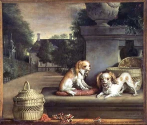 Due cani in un parco