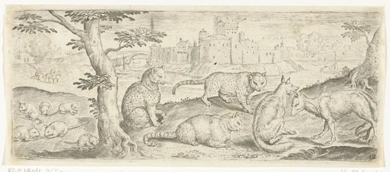Ratti, gatti e volpi, Animali (titolo della serie)
