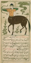 Costellazioni dello Zodiaco: Sagittario, l