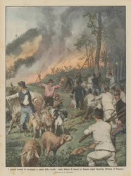 I grandi incendi di montagna a causa della siccità, vaste distese di boschi in fiamme