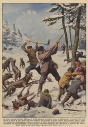 In alcune regioni nordiche d