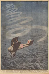 Le novità dell