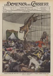 Leonessa che fugge dalla gabbia aperta in alto durante una rappresentazione, in Borgogna