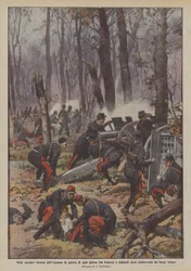 Nella secolare foresta dell