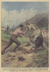 Quello che si chiama pugno fulminante