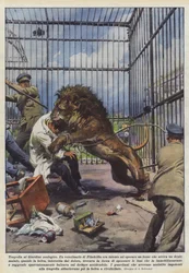 Tragedia al Giardino zoologico