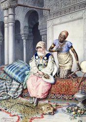 Nel harem