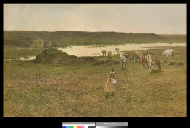 Pascolo nella valle, 1906