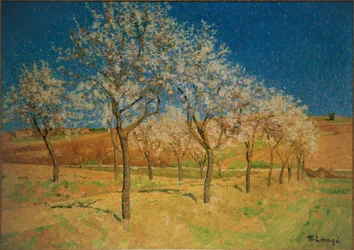 Paesaggio con alberi in fiore