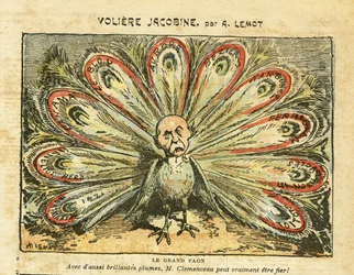 Illustrazione di Achille Lemot (1846-1909) in Le Pèlerin, 26/01/08 - Voliera giacobina - Blocco delle sinistre, crisi del vino, rivolta dei viticoltori, Narbonne, Béziers, Aurore (giornale) - Georges Clemenceau, pavone - Animalizzazione