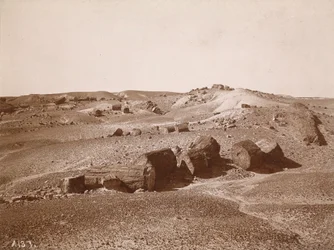 Nella foresta pietrificata (vista generale, Middle Park), 1895-1897 circa (foto)