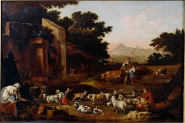 Tosatura delle pecore