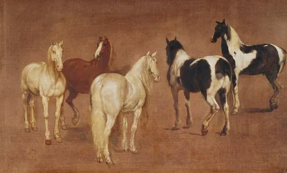 Studio di cinque cavalli