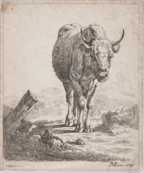 Una mucca vista di fronte, 1805