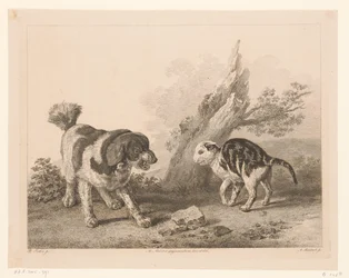 Cane e gatto in posizione di combattimento (serie: Animali dai dipinti di maestri olandesi)
