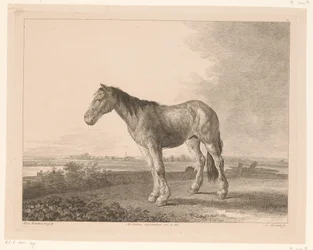 Cavallo in piedi in un paesaggio fluviale