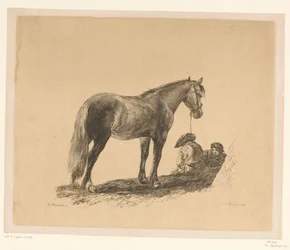 Cavallo in piedi con due uomini seduti a terra